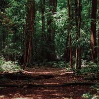 Suasana Kampung