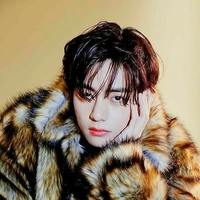 Kim Taehyung ( supreme Omega)