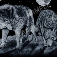 หมาป่าตัวอื่น(เผ่าหมาป่า)🐺