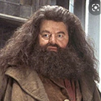 Rubeus Hagrid