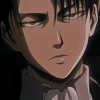 Levi