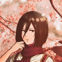 MIkasa