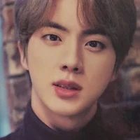 Mr.Kim Seokjin