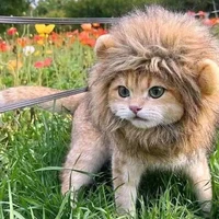Prince