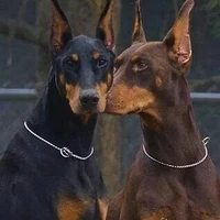 zeus y Tritón