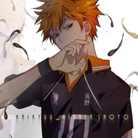 shoyo