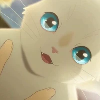แมว