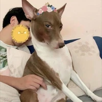 เทพเจ้า