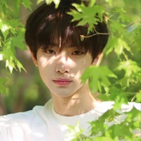 ฟินน์