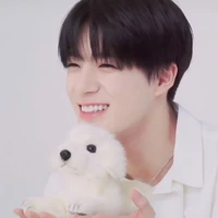 แคท