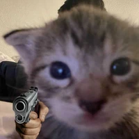 ไรท์เองจุ๊กกรู้วววว