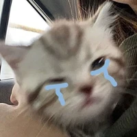 แอดแอ๊ด