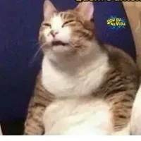Criadora/eu