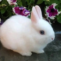 ยูน่า