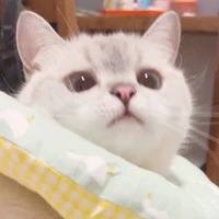 แม่