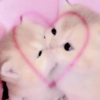 เเอด