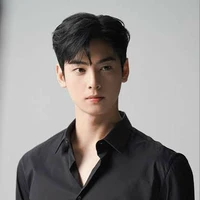 Ariel Pradikta
