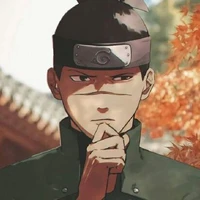 iruka[b]