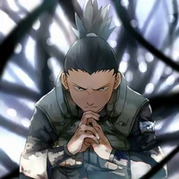 shikamaru[apd]