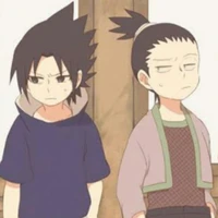 suki y shika