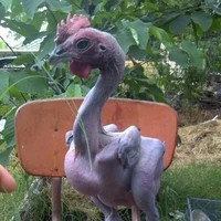 Yo