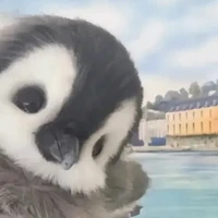 แอดเองง