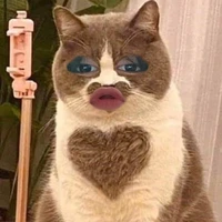 แอดเองครับ😿