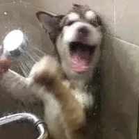 แอด