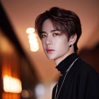 หวังอี้ป๋อ(พระเอก+มาเฟีย)