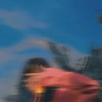 Y/N