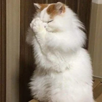 เเอด😛