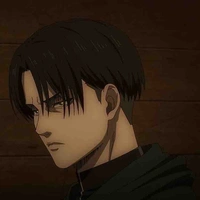Levi Ackerman 