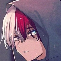 shoto todoroki(23)
