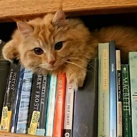 Narrator/author