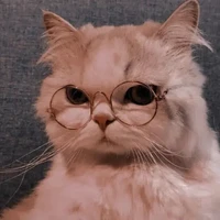 Cute author 🐼💗