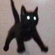 ตปก.