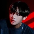 Kim taehyung/V