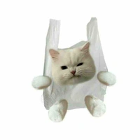 แมวน้อย-แอดด