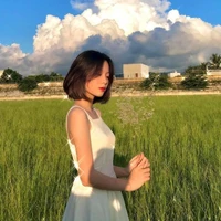 ดาว : แม่พระเอก