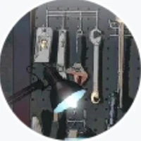 Lobos manada masculina