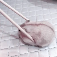 แอด