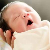 ซีเรีย ลูกนอ.