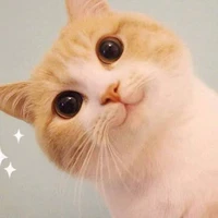 แอดเอง