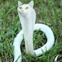 ปาย(แอดเอง)