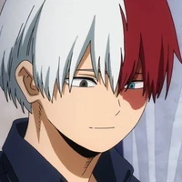 TODOROKI
