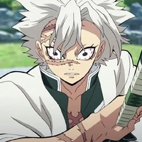 SANEMI