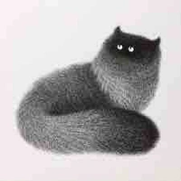 Chicco (Cat’s cat)