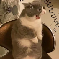 แอดเอง
