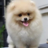โคม