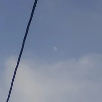 all